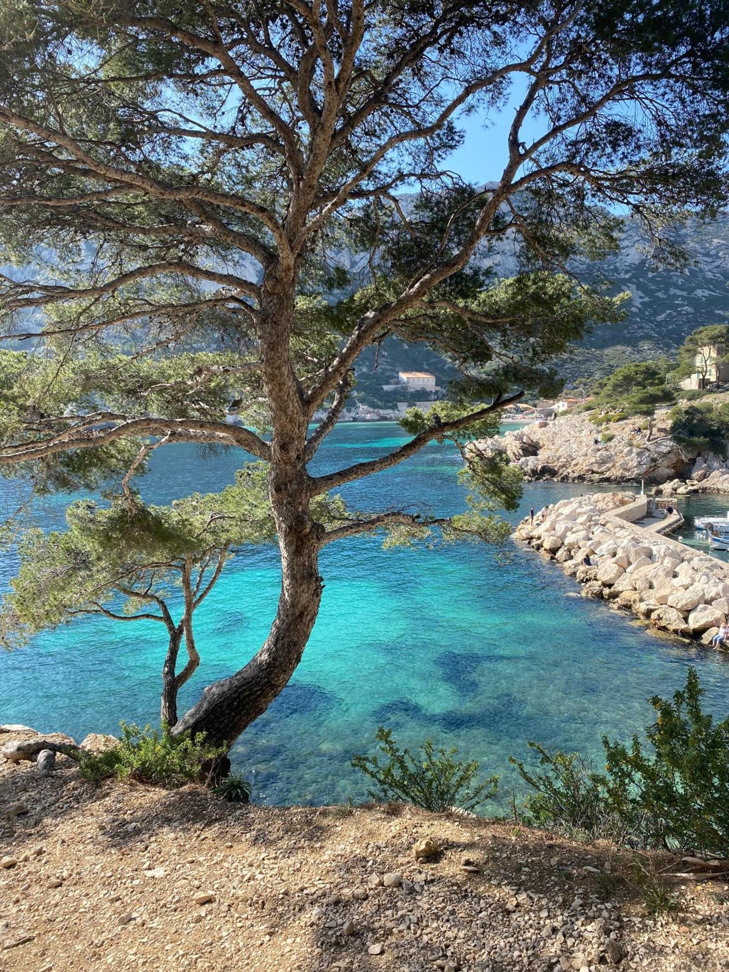 Appartement Lumineux Proche Calanques Marseille Eksteriør billede